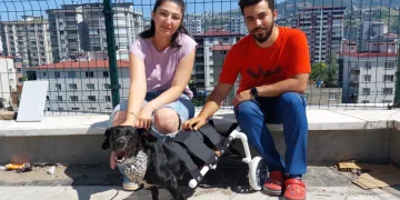 Yürüteçle yürüttüler
