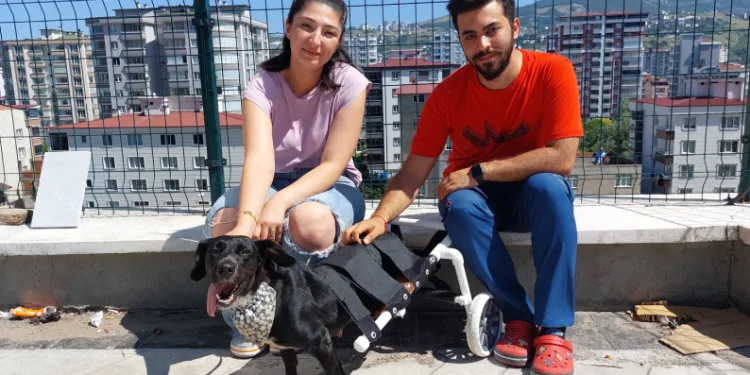 Yürüteçle yürüttüler