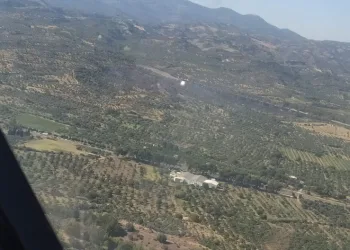 Otoban kenarında yangın