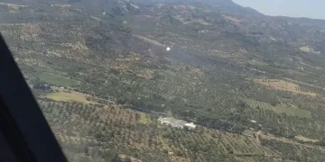 Otoban kenarında yangın