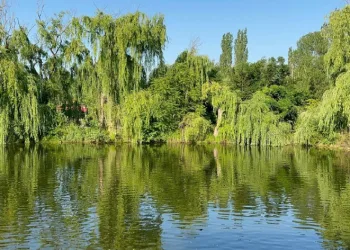 Bozkırın ortasındaki vaha