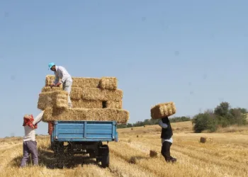 Kavurucu sıcakta mesai