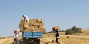 Kavurucu sıcakta mesai