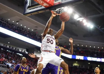 TOFAŞ Basketbol Takımı Austin Wiley’i transfer etti