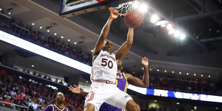 TOFAŞ Basketbol Takımı Austin Wiley’i transfer etti