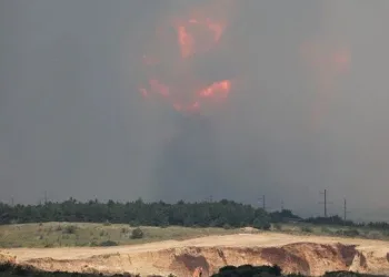 Ukrayna misket bombası kullandı iddiası