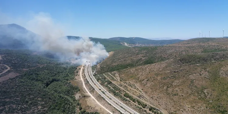 Yangınlardan iyi haber