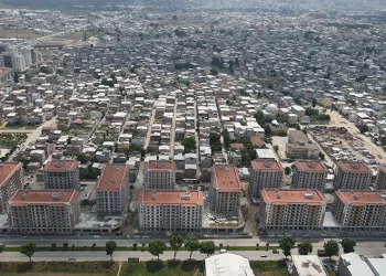 Mudanya’da buğday hasadı zamanı