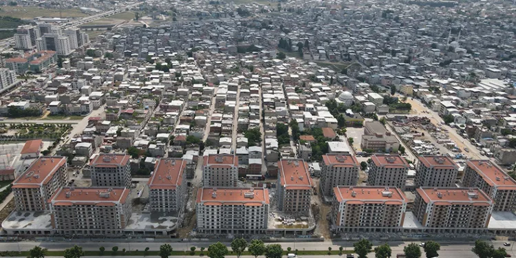 Mudanya’da buğday hasadı zamanı