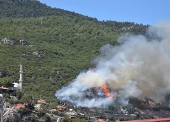 İzmir Kemalpaşa’da orman yangını