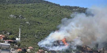 İzmir Kemalpaşa’da orman yangını
