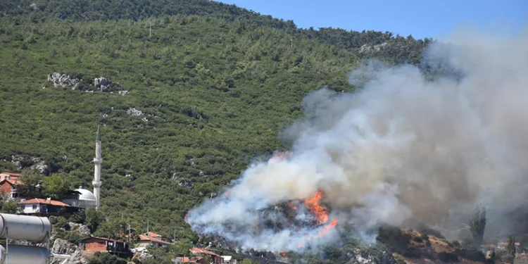 İzmir Kemalpaşa’da orman yangını