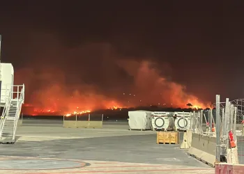 Sicilya’da orman yangını başladı