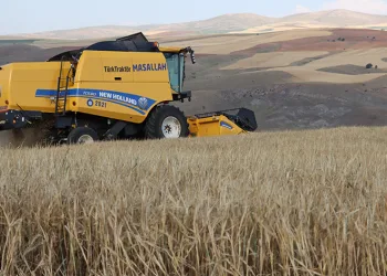 Baraj kenarında ‘susuzluk’ krizi