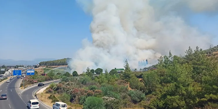 Bodrum yangını büyüyor