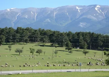 Bursa’nın bu bölgesinde çadır kurmak yasak