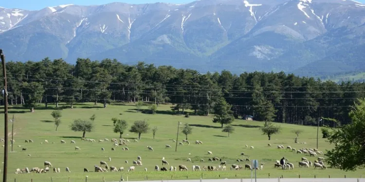 Bursa’nın bu bölgesinde çadır kurmak yasak