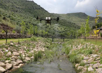 Sinek ilaçlamasında da drone devri