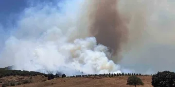 Kahramanmaraş’ta orman yangını