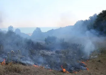 Orman yangınlarına anında müdahale