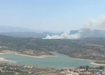 Muğla’da orman yangını