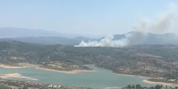Muğla’da orman yangını
