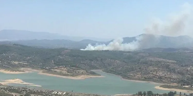 Muğla’da orman yangını