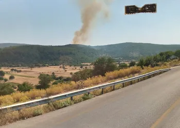 Muğla’da orman yangını