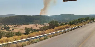 Muğla’da orman yangını