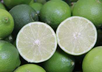 İlk ‘lime’ cinsi limon hasadı
