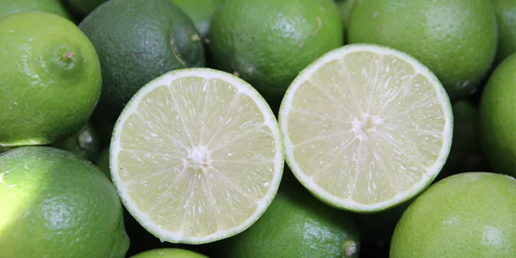 İlk ‘lime’ cinsi limon hasadı