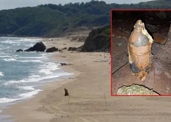 Şile’de 30’a yakın patlamamış mayın bulundu