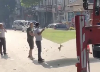 İnegöl’de esnaf ve itfaiyeden kedi operasyonu