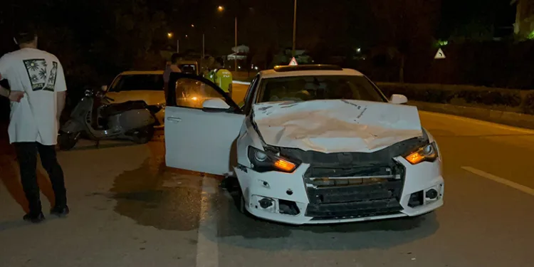 Otomobilin çarptığı hayvan telef oldu