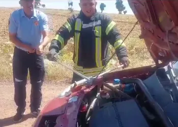 Aracın motorundan 1.5 metre yılan çıktı