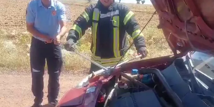 Aracın motorundan 1.5 metre yılan çıktı