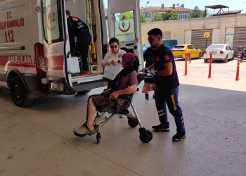 Bursa’da yaşlı kadına köpek saldırdı