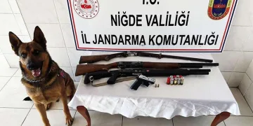 Jandarmadan uyuşturucu operasyonu