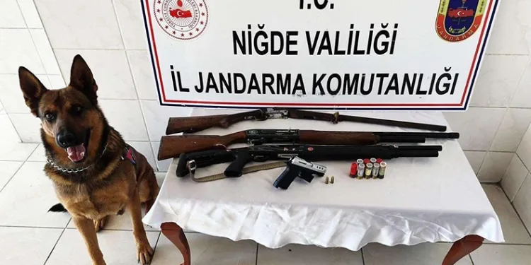 Jandarmadan uyuşturucu operasyonu