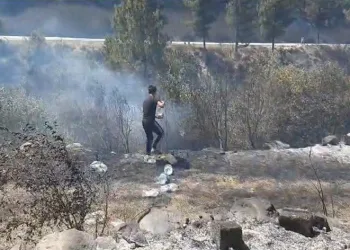 Orman yangını rüzgarın etkisi ile büyüdü