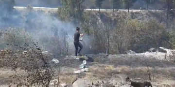 Orman yangını rüzgarın etkisi ile büyüdü