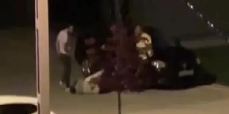 Dört erkek bir kadına saldırdı