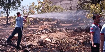Fıstık bahçesinde yangın