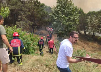 Sultangazi kent ormanında yangın