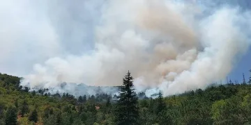 Afyonkarahisar’da orman yangını
