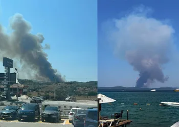 Milas’ta orman yangını başladı
