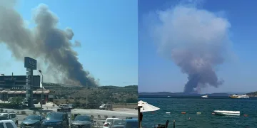 Milas’ta orman yangını başladı
