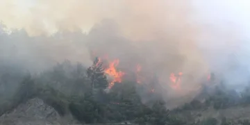 Hatay’da orman yangını