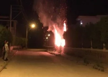 Bursa’da site bahçesindeki ağaçları ateşe verdiler