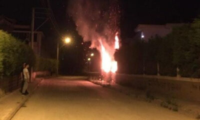 Bursa'da site bahçesindeki ağaçları ateşe verdiler